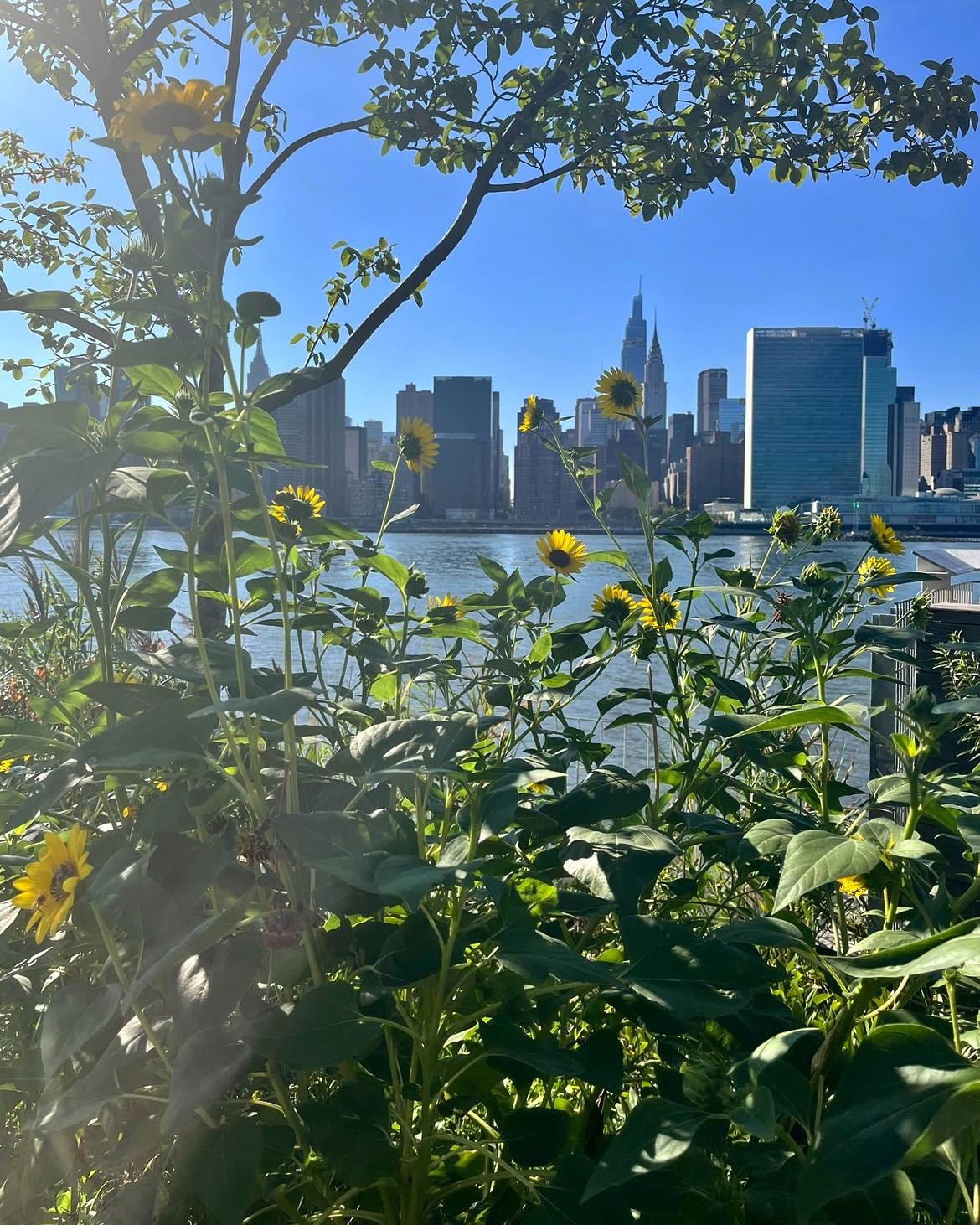 Mahattan, New York Original Photography by Christine Vinelli